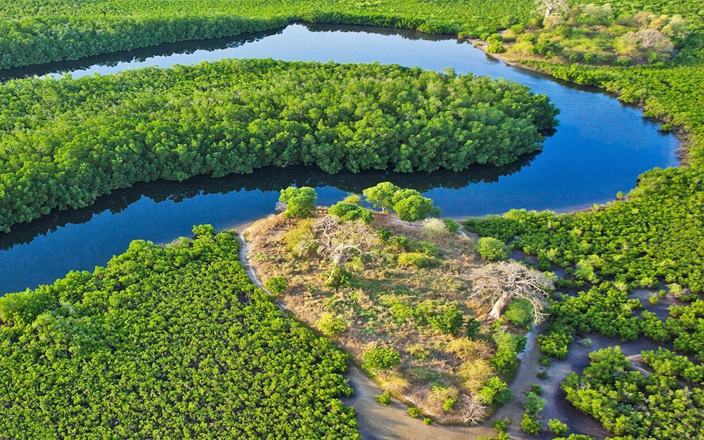 Le parc national du Delta du Saloum